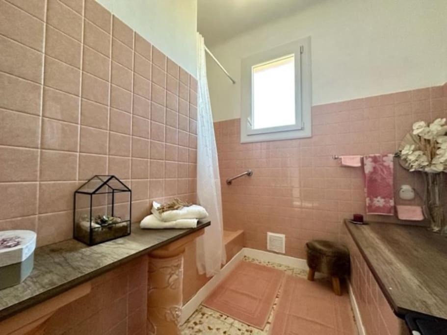 Appartement St Laurent Saint-Laurent-de-la-Salanque Kültér fotó